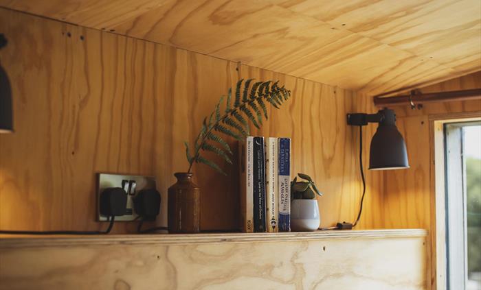 A shelf with books, a fern in a vase and a plant. A lamp shines in the background.